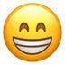 :grin: :grin: