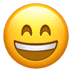 :smile: :smile: