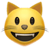 :smiley_cat: