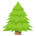 :evergreen_tree: